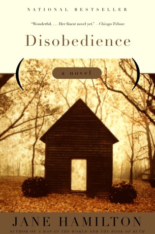 Cover of Disobedience