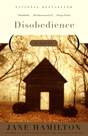 Book cover for Disobedience