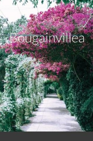 Cover of Bougainvillea