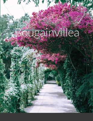 Book cover for Bougainvillea