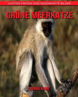 Book cover for Grüne Meerkatze