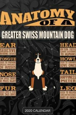Cover of Anatomy Of A Greater Swiss Mountain Dog