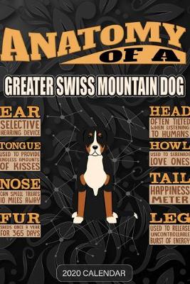 Book cover for Anatomy Of A Greater Swiss Mountain Dog