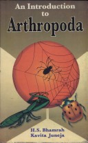 Book cover for An Introduction to Arthropoda