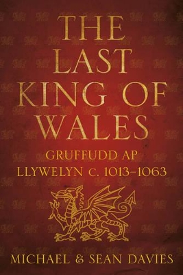 Book cover for The Last King of Wales