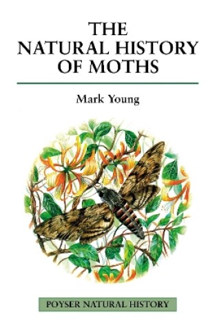 Cover of The Natural History of Moths