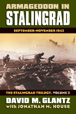 Cover of Armageddon in Stalingrad Volume 2 The Stalingrad Trilogy