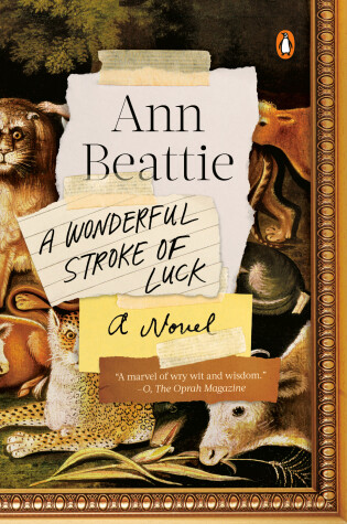 Cover of A Wonderful Stroke of Luck