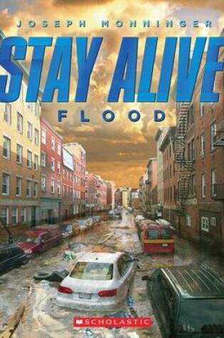 Cover of Flood