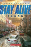 Book cover for Flood