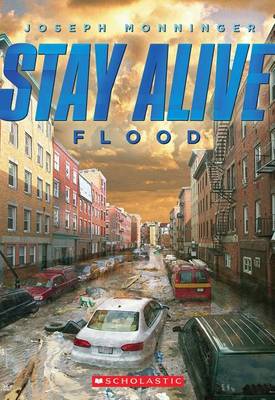 Cover of Flood