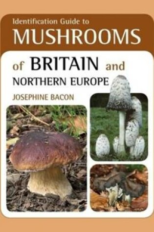 Cover of Identification Guide to Mushrooms of Britain and Northern Europe