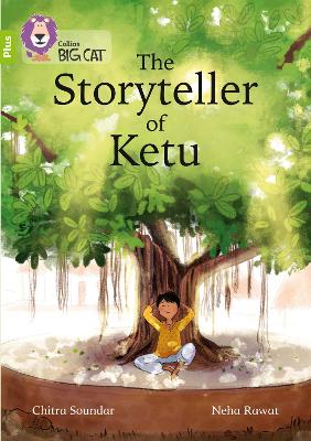 Book cover for The Storyteller of Ketu