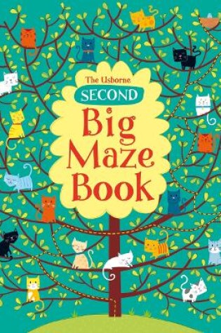 Cover of Second Big Maze book
