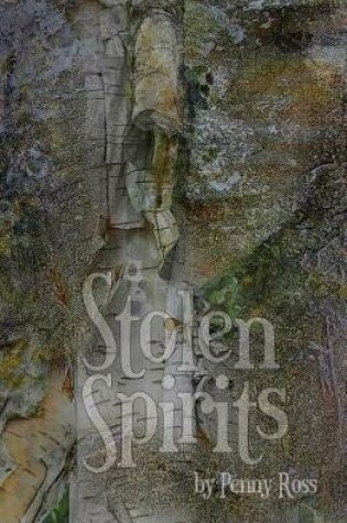 Cover of Stolen Spirits