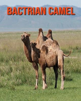 Book cover for Bactrian Camel