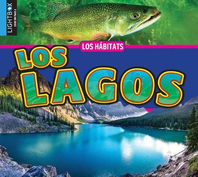 Book cover for Los Lagos