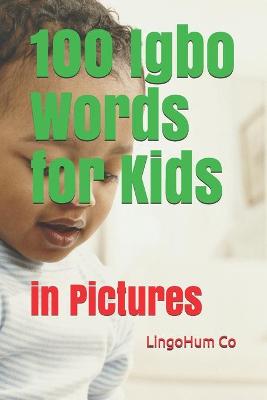Book cover for 100 Igbo Words for Kids