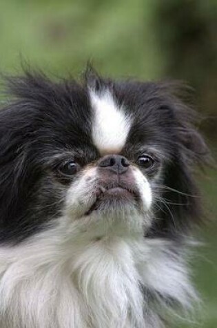 Cover of The Japanese Chin Dog Journal