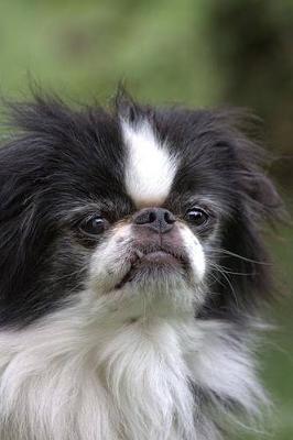Book cover for The Japanese Chin Dog Journal