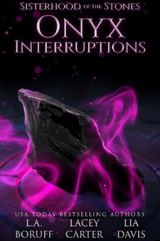 Cover of Onyx Interruptions