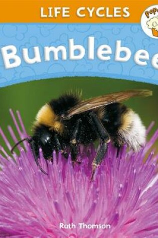 Cover of Popcorn: Life Cycles: Bumblebee