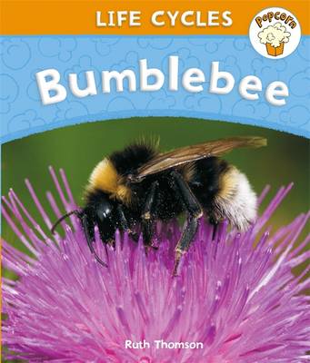 Cover of Popcorn: Life Cycles: Bumblebee