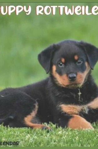 Cover of Rottweiler Puppy 2022 Calendar