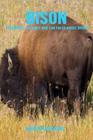 Cover of Bison