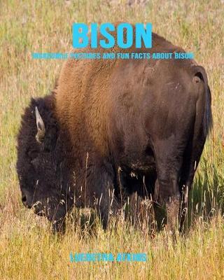 Book cover for Bison