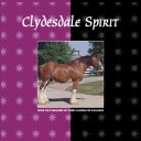 Book cover for Clydesdale Spirit Pb