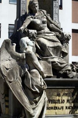 Cover of A Statue of Two Angels in Argentina