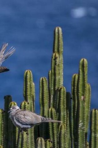 Cover of Pigeons On Cactus Notebook