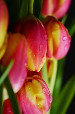 Book cover for Fresh Cut Tulips and Morning Dew Journal