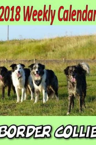 Cover of 2018 Weekly Calendar Border Collie