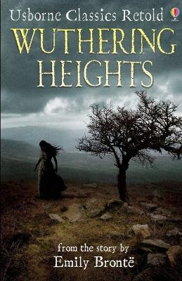 Book cover for Wuthering Heights illustrtaed