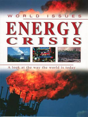 Book cover for Energy Crisis