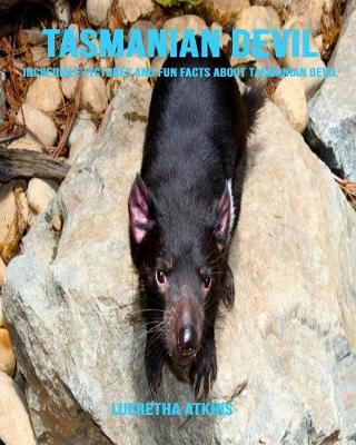 Book cover for Tasmanian Devil