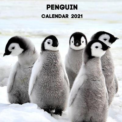 Book cover for Penguin Calendar 2021