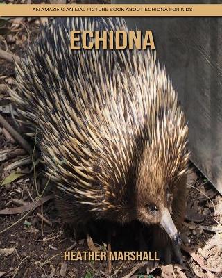 Book cover for Echidna