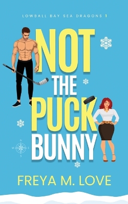 Cover of Not the Puck Bunny