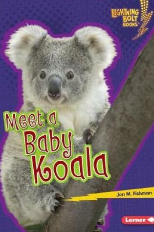 Cover of Meet a Baby Koala
