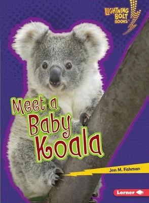 Book cover for Meet a Baby Koala
