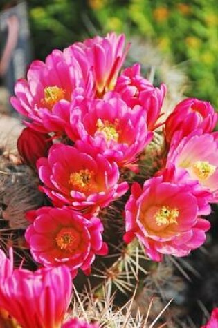 Cover of Pink Cactus Flowers (for the Love of Gardening)