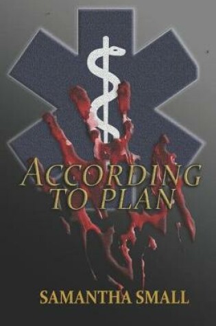 Cover of According to Plan