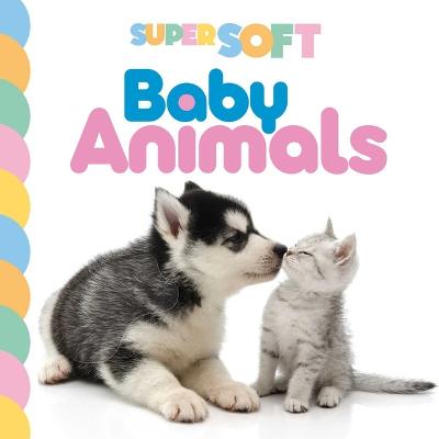 Book cover for Super Soft Baby Animals