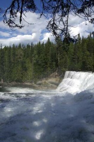 Cover of The Dawson Falls in British Columbia, Canada