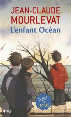 Book cover for L'enfant ocean