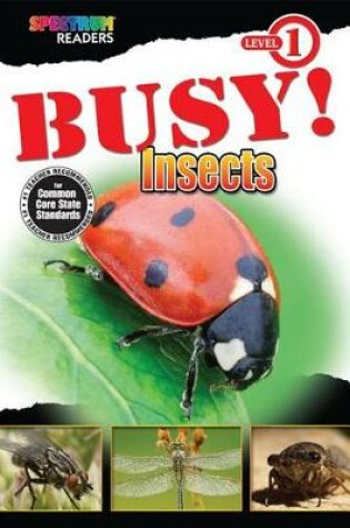 Cover of Busy! Insects