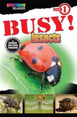 Book cover for Busy! Insects